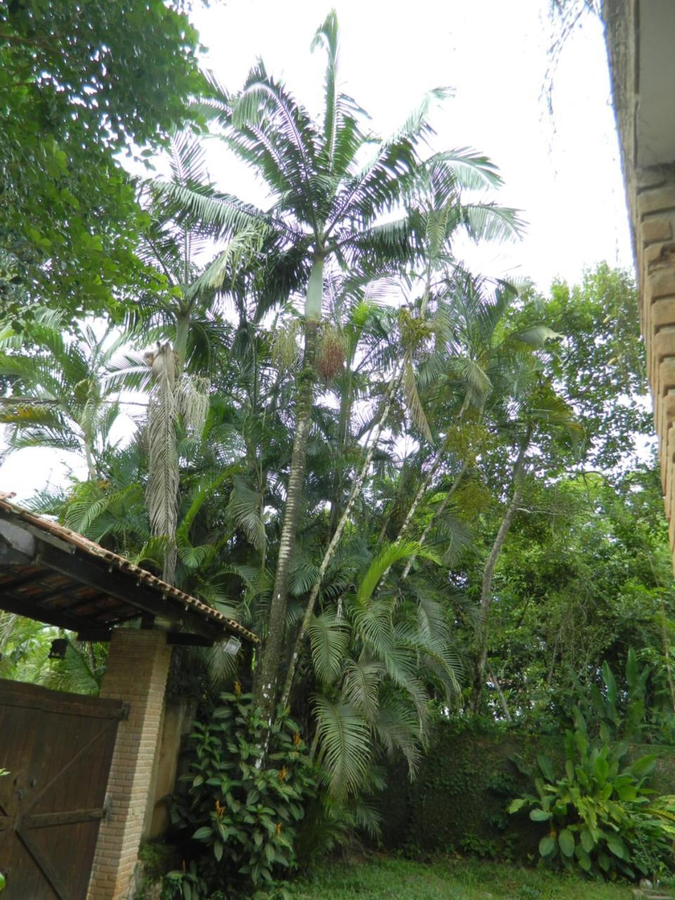 Solar Canoas Prumirim Casa de hóspedes Ubatuba